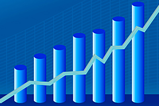 Production, Sales and Export Data