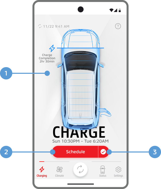 You can check the state of charge and set a charging timer.